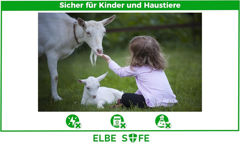 Elbe Safe Lebendfalle, Marderfalle, Katzefalle, Hundefalle, 109 x 44 x 46 cm, wetterfest, leicht zu reinigen, sicher für Kinder und Haustiere- MAF05-v3 Elbe-Welt.de