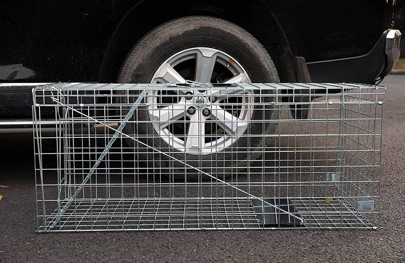 Elbe Safe Lebendfalle, Marderfalle, Katzefalle, Hundefalle, 109 x 44 x 46 cm, wetterfest, leicht zu reinigen, sicher für Kinder und Haustiere- MAF05-v3 Elbe-Welt.de