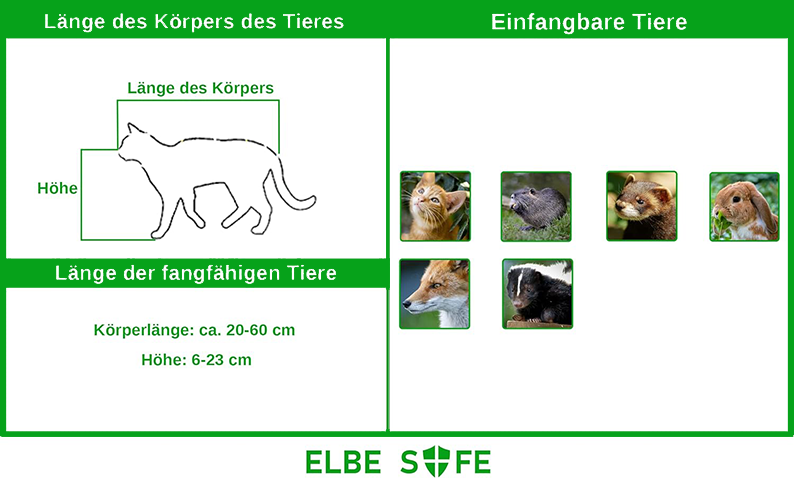Elbe Safe Lebendfalle, Marderfalle, Katzefalle, Hundefalle, 80 x 29 x 32 cm, wetterfest, leicht zu reinigen, sicher für Kinder und Haustiere- MAF06 Elbe-Welt.de